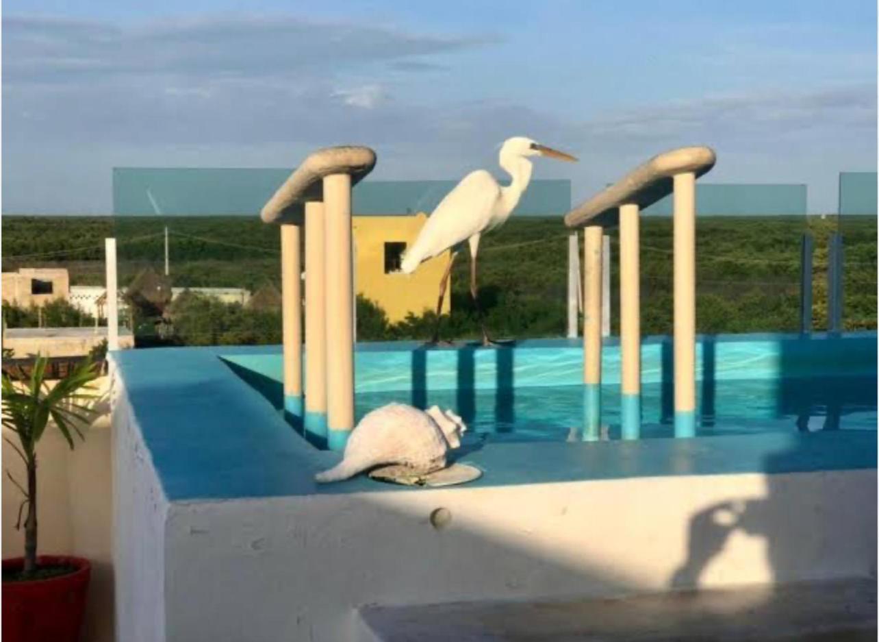El Corazon Mexican0 Isla Holbox Εξωτερικό φωτογραφία
